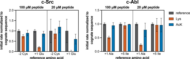 Figure 7—figure supplement 3.