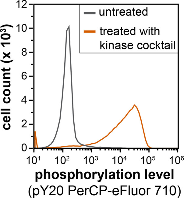 Figure 6—figure supplement 2.