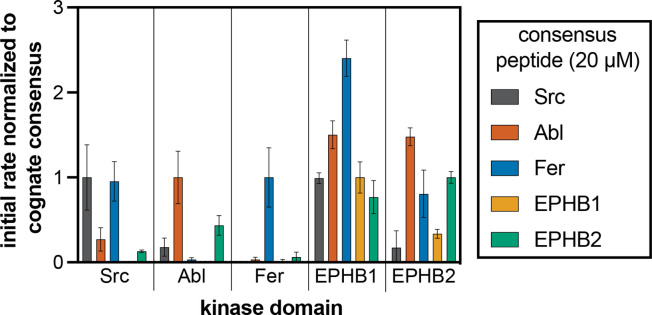 Figure 2—figure supplement 2.