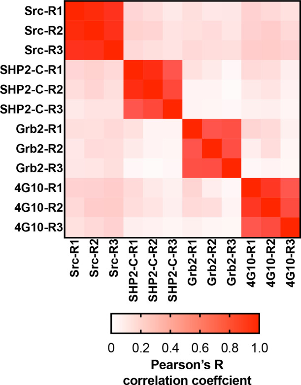 Figure 6—figure supplement 4.