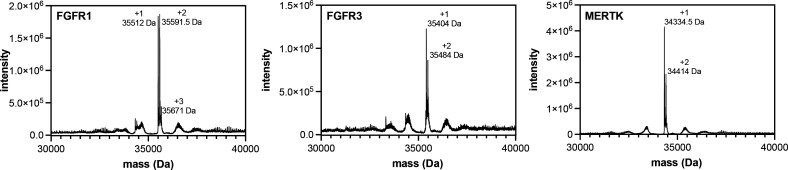 Figure 4—figure supplement 2.