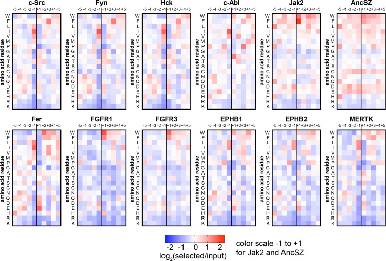 Figure 4—figure supplement 5.