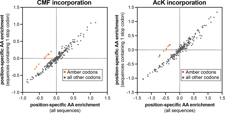 Figure 7—figure supplement 2.