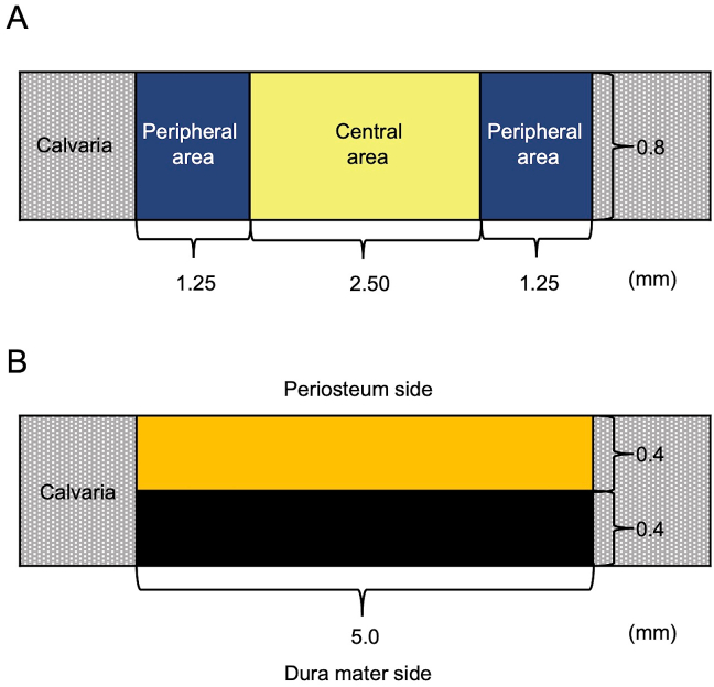 Fig. 2