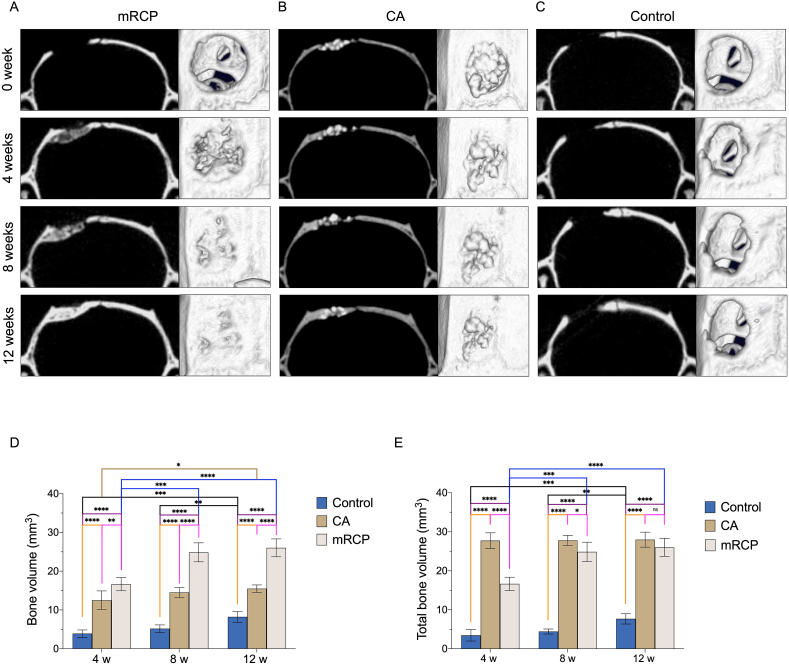 Fig. 3