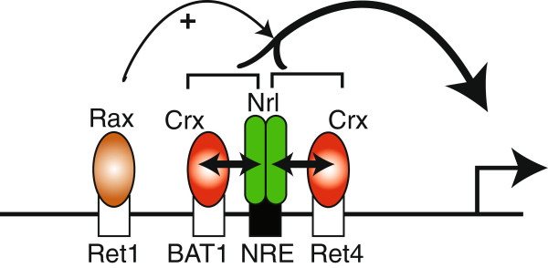 Figure 9