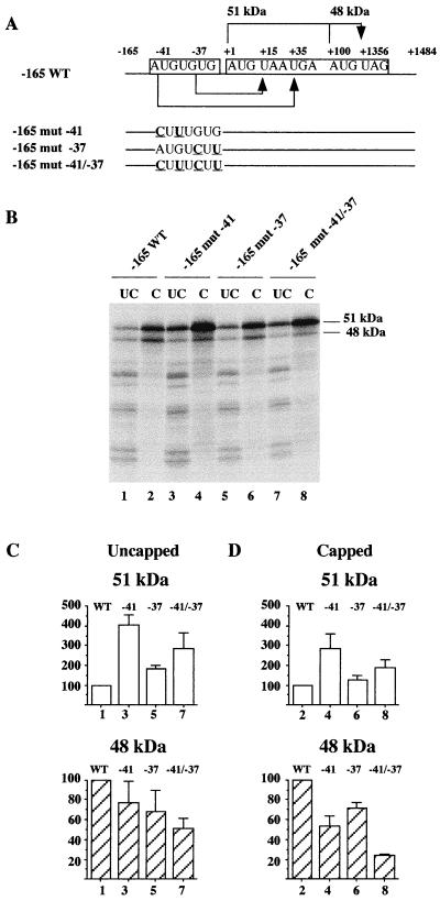 FIG. 6