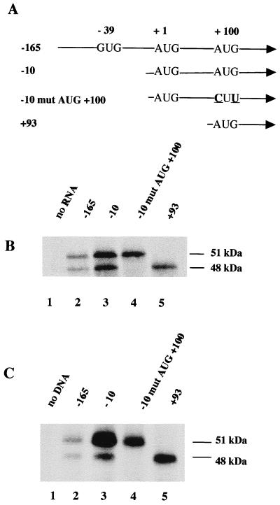 FIG. 4