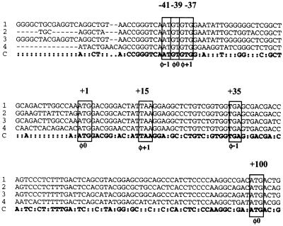 FIG. 3