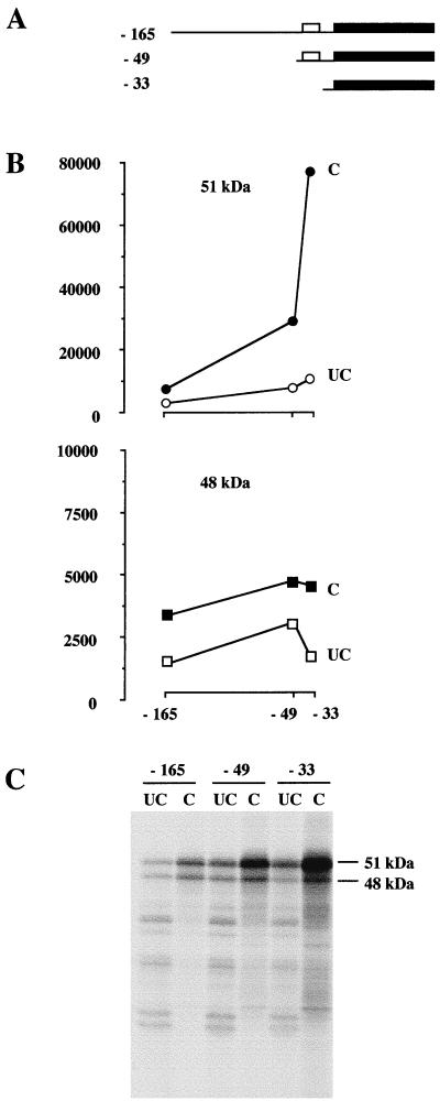 FIG. 5