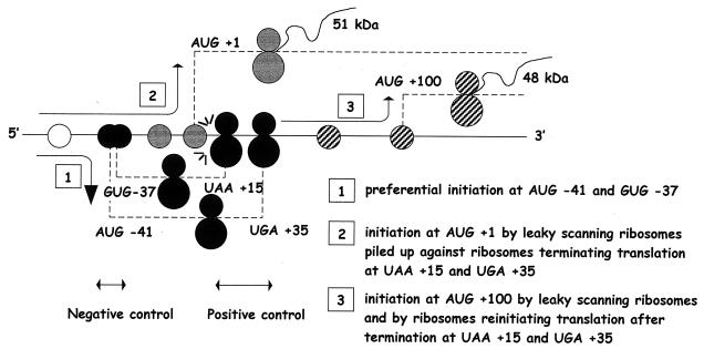 FIG. 10