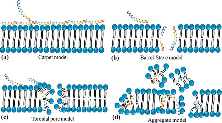 Figure 2.