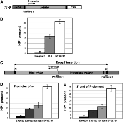 Figure 3.—