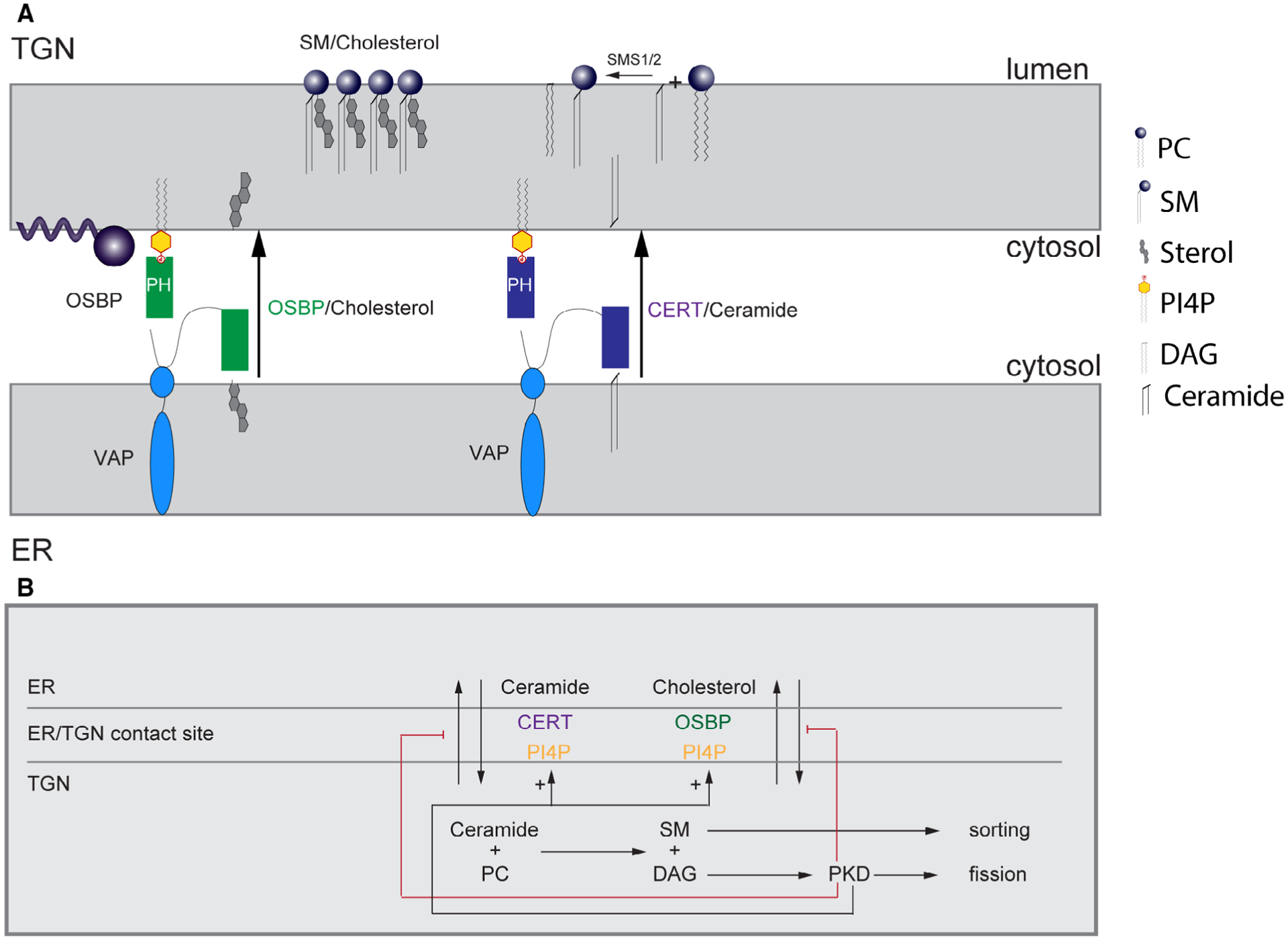 Fig. 3.