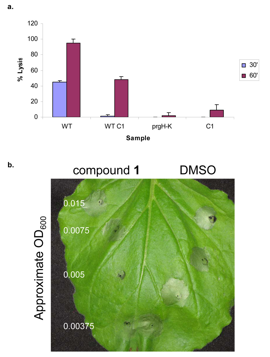 Figure 5