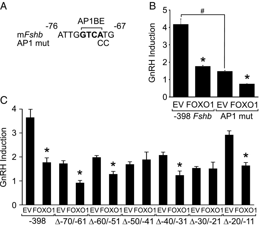 Figure 10.