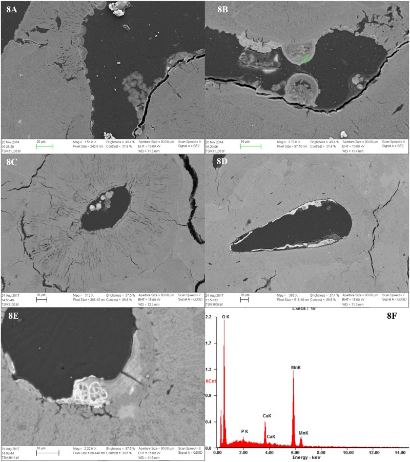 Fig 8