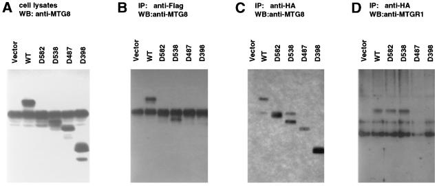 FIG. 8