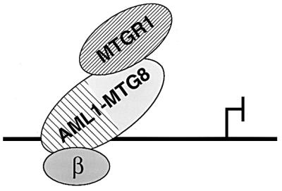 FIG. 12