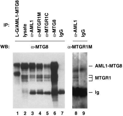 FIG. 9