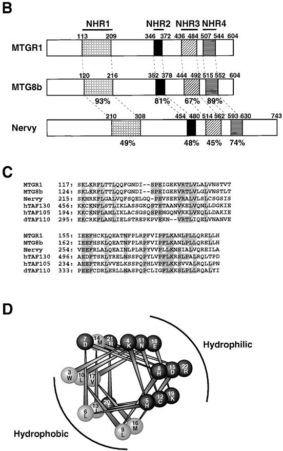 FIG. 6