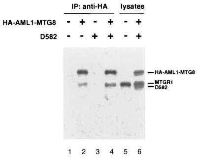 FIG. 10