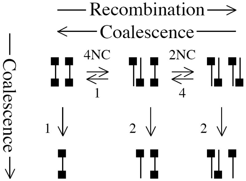 Figure B2