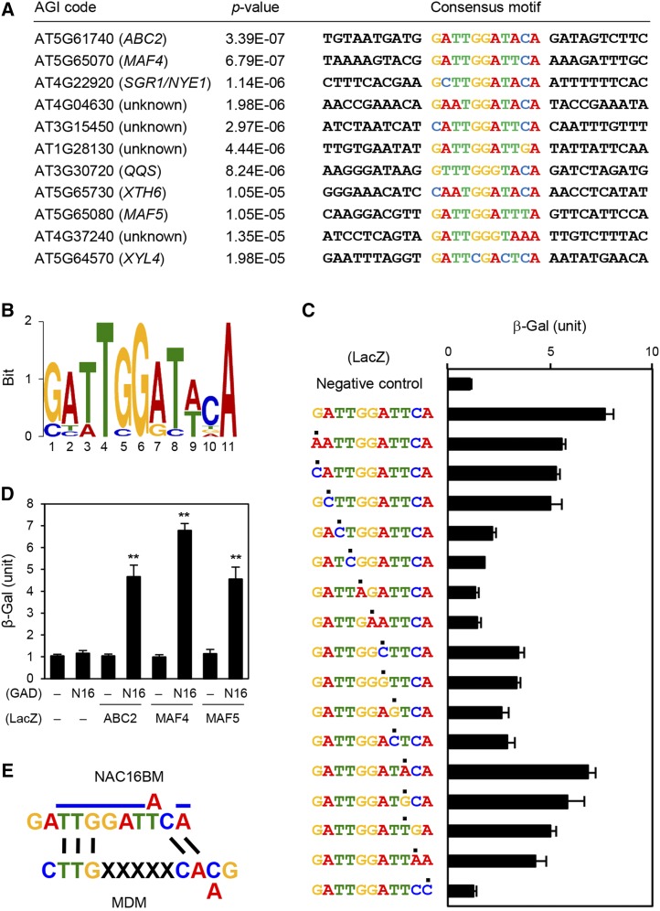 Figure 4.