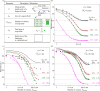 Performance of the analytical approximation for epidemic infection rate in IBM