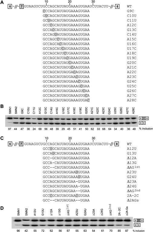 Figure 3