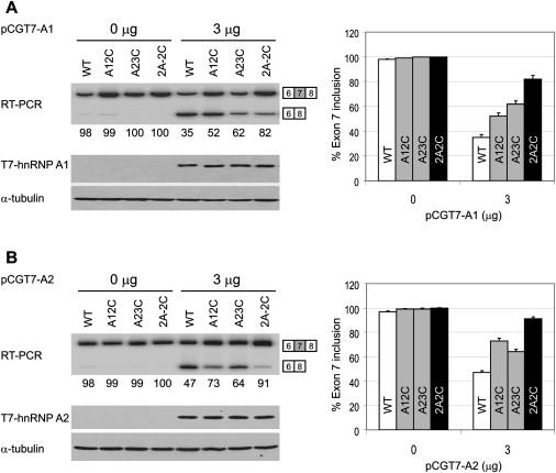 Figure 5