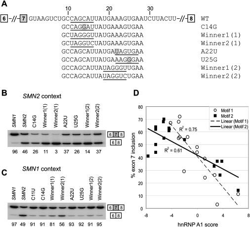 Figure 6