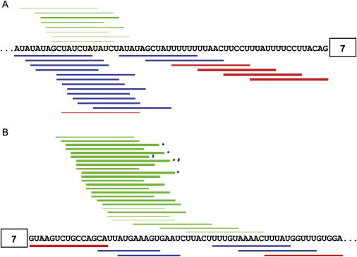 Figure 7