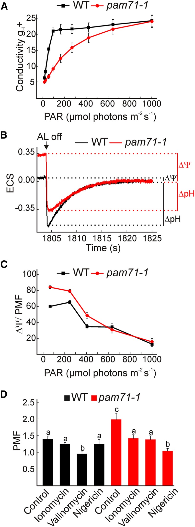 Figure 6.