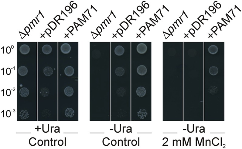 Figure 10.