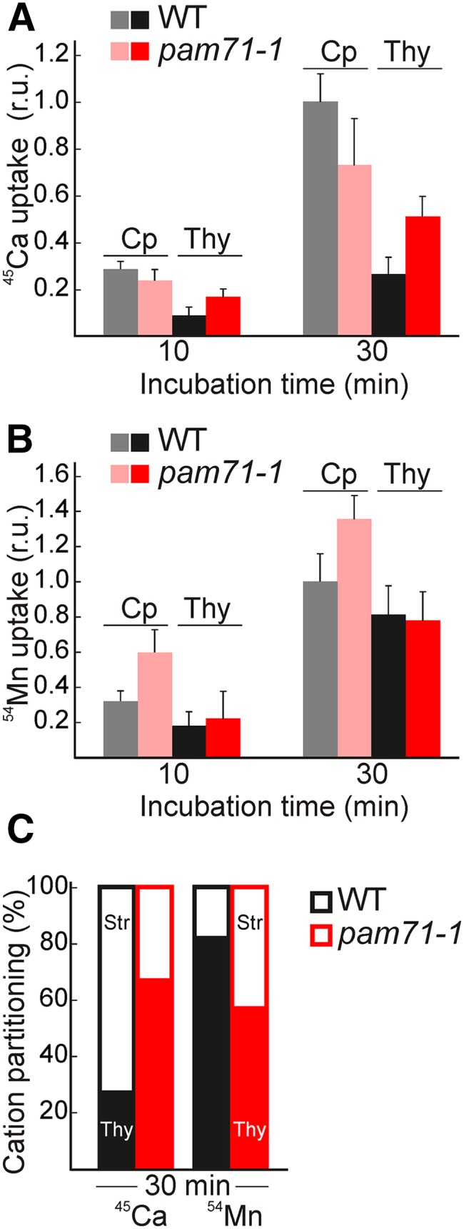 Figure 7.