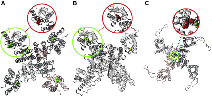 Figure 3