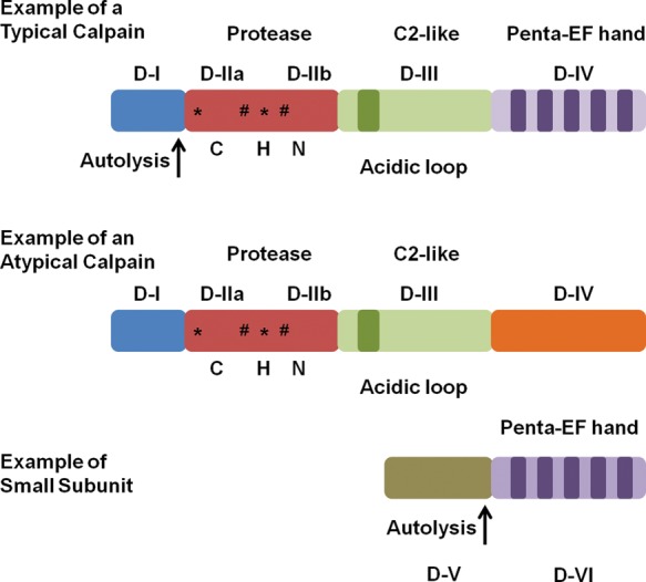 Figure 1