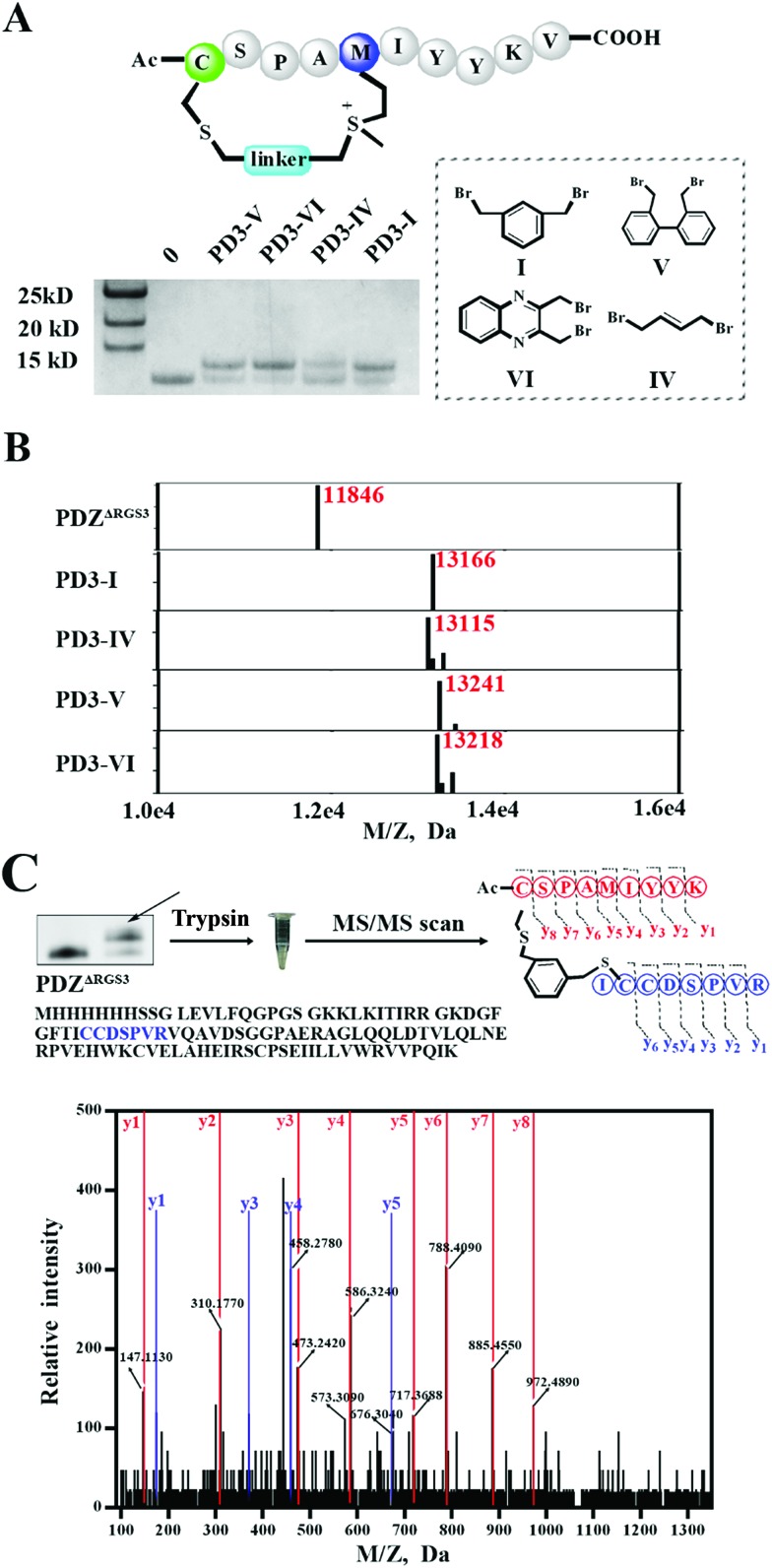 Fig. 5