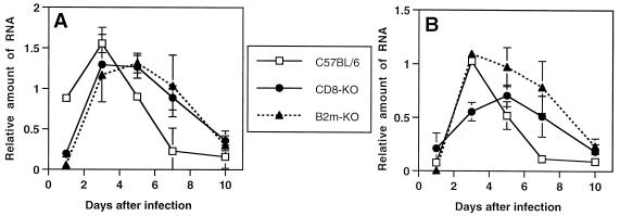 FIG. 7