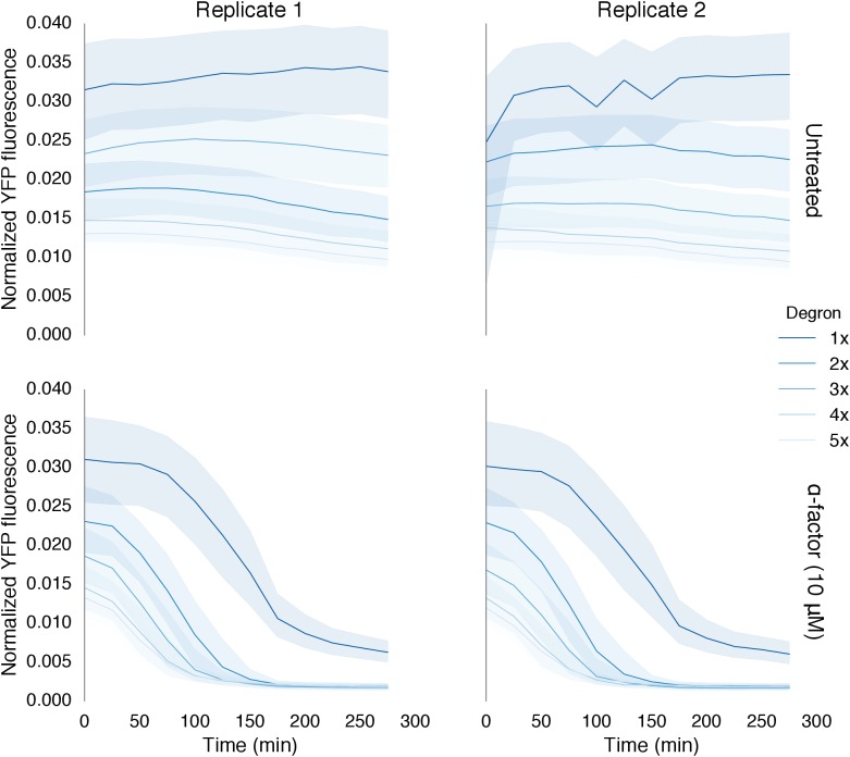 Figure 4—figure supplement 1.