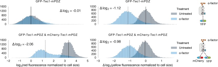 Figure 3—figure supplement 2.