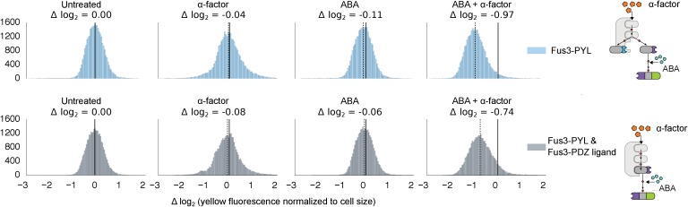 Figure 3—figure supplement 1.