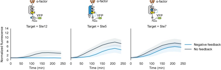 Figure 6—figure supplement 1.