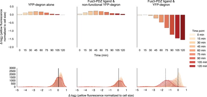 Figure 1—figure supplement 4.