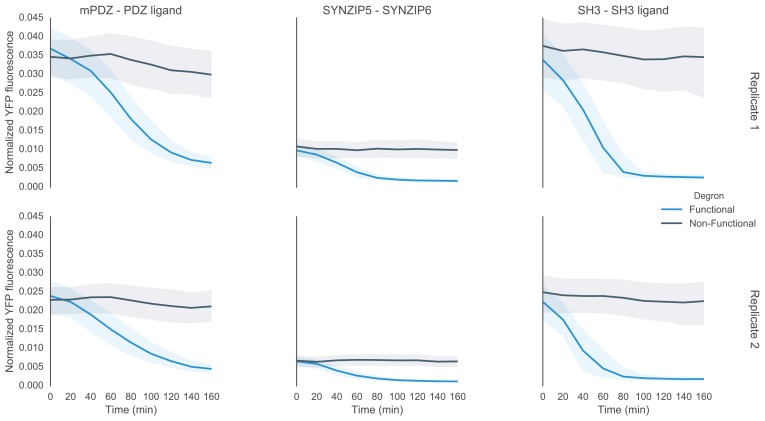 Figure 2—figure supplement 1.