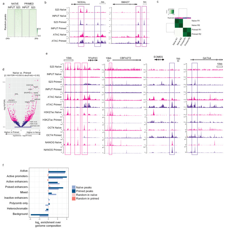 Figure 2—figure supplement 1.