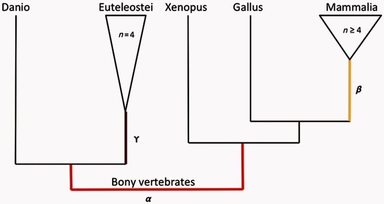 Fig. 9.