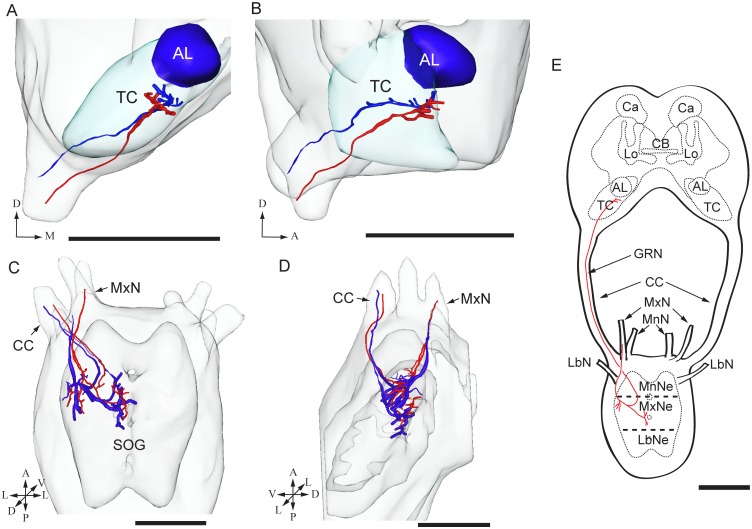 Figure 5