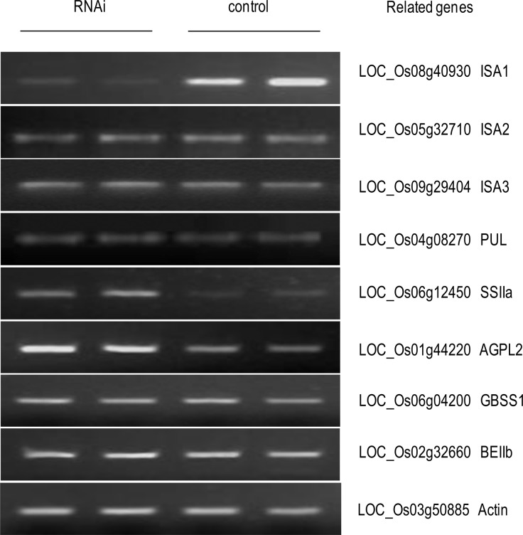 Fig 5